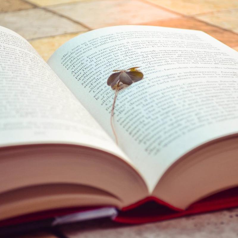 飞哥旅游记➕阅读记