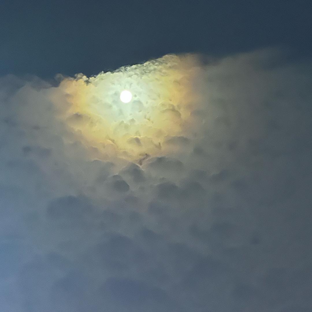 暻朝
