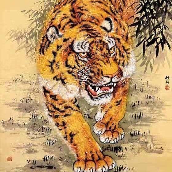 追风哥哥