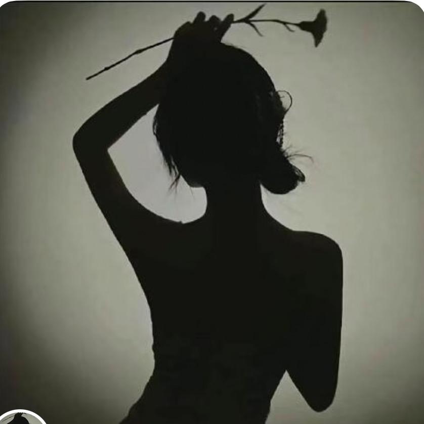 普罗旺斯的紫韵く