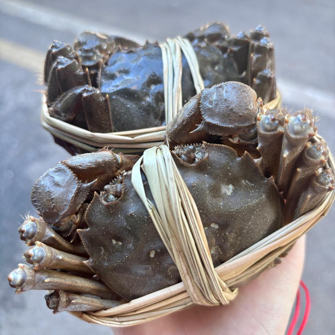 南京朝腾水产
