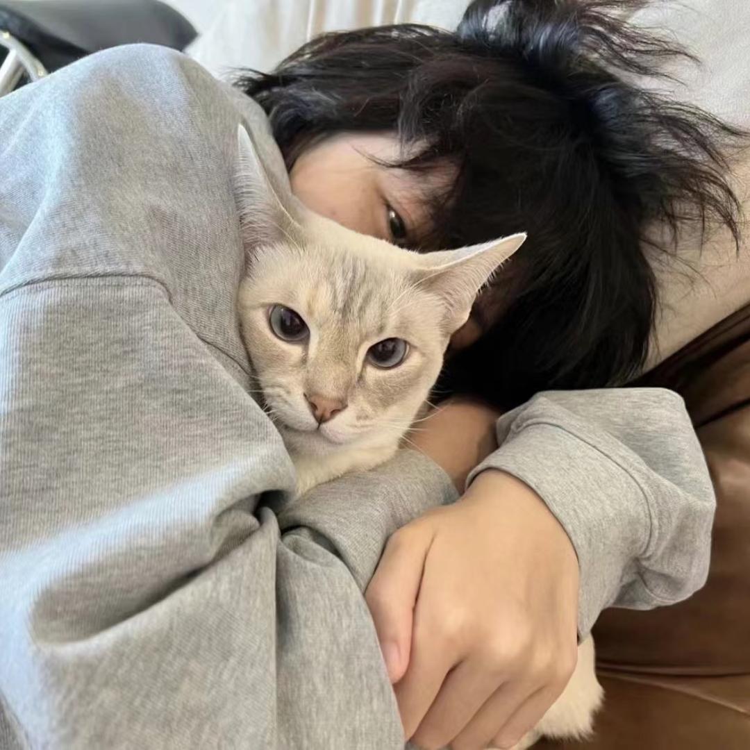 ^ 木讷的树