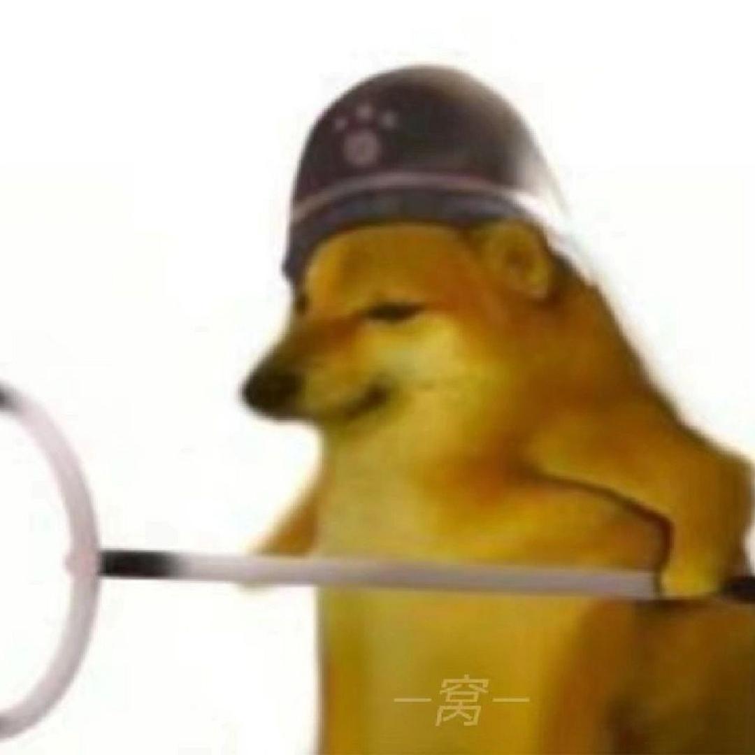 满山的猴子 我腚最红