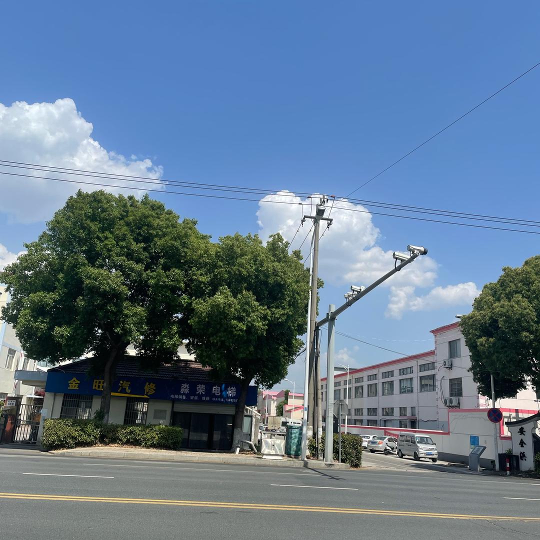 爱意随风起风止意难平9599