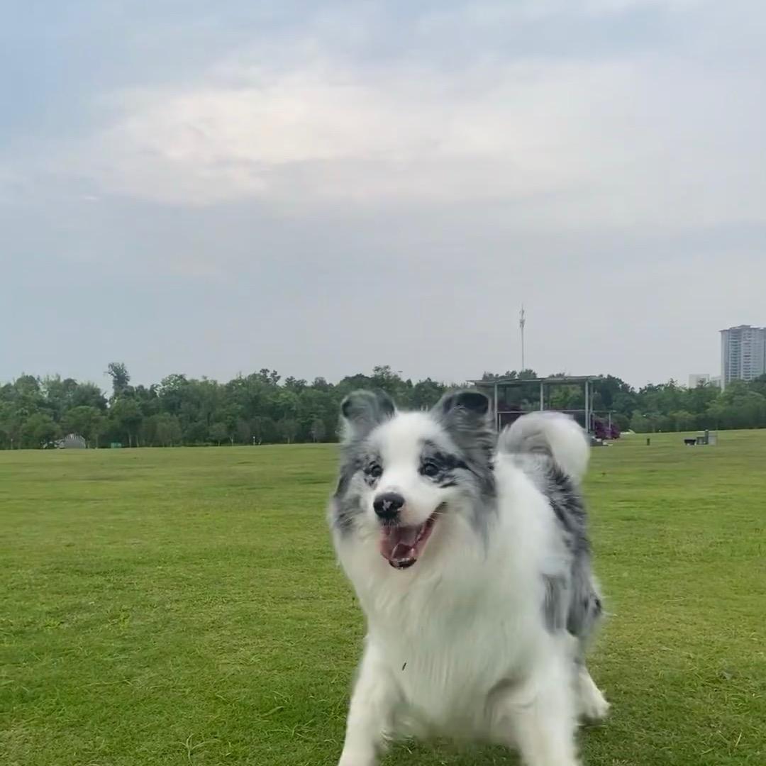 南通非遗爱好者