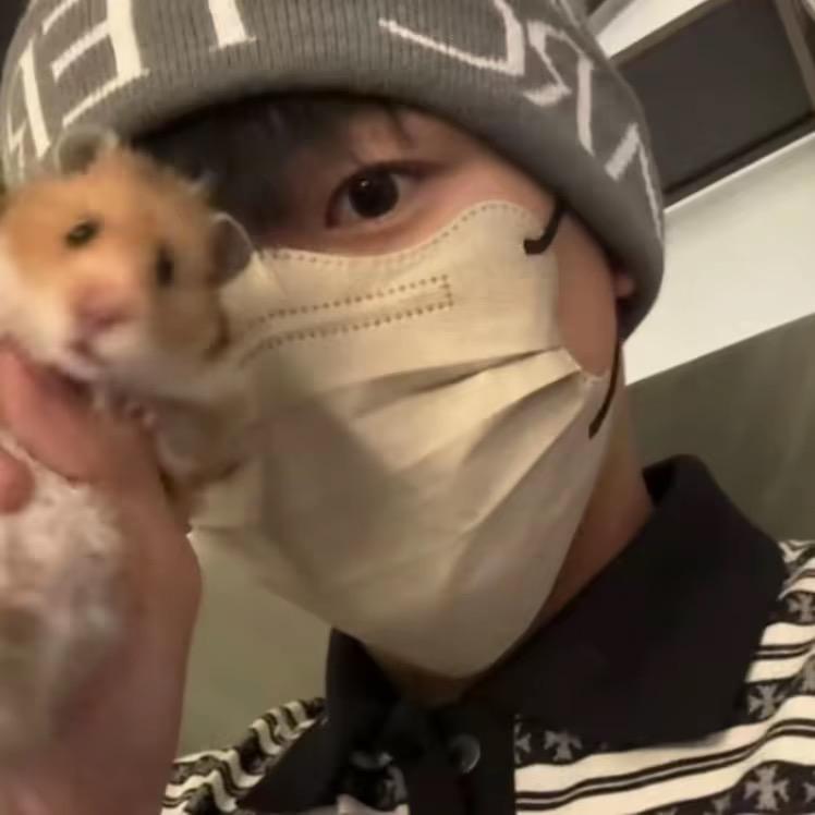 晚上不想睡白天不愿起