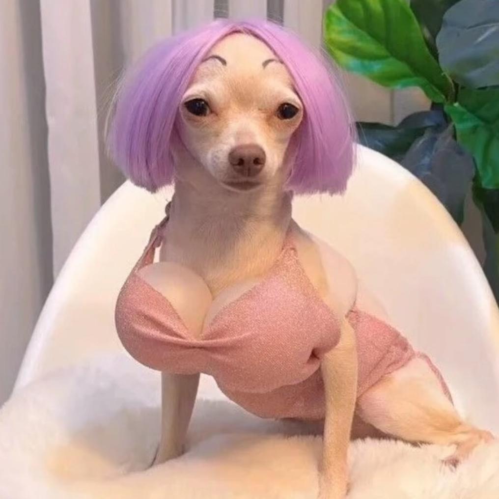 墨玉馨兰足浴666号