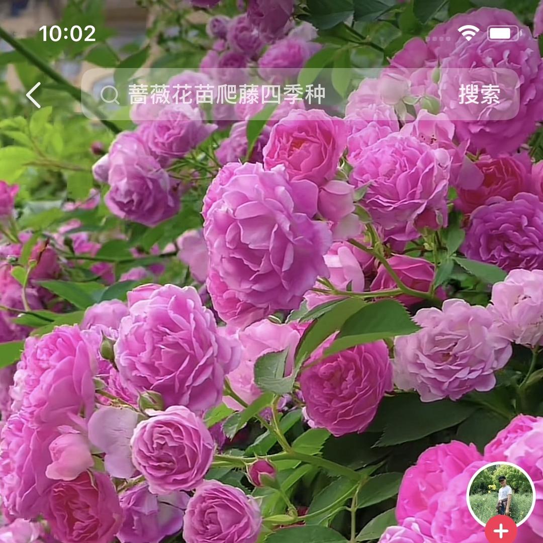 白6助农