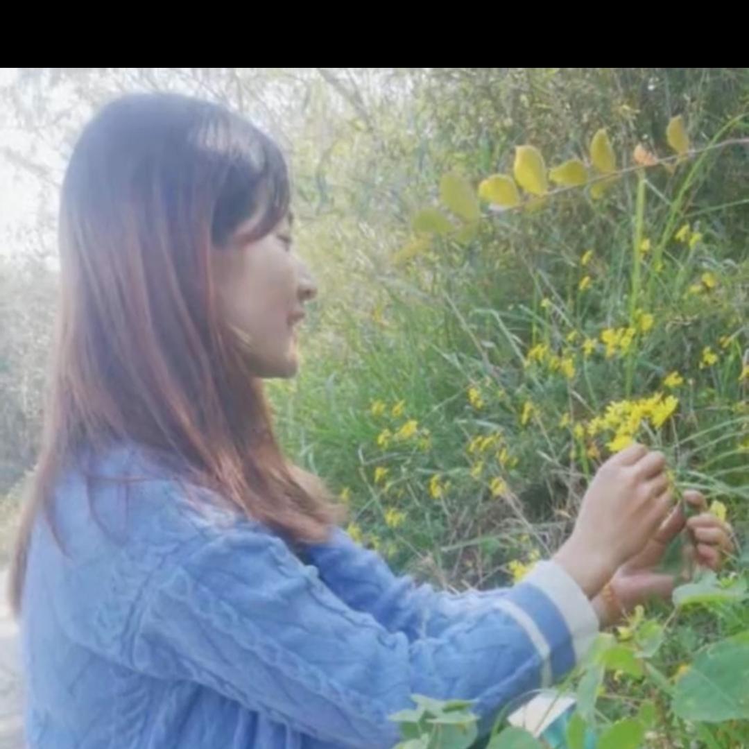 @玲儿