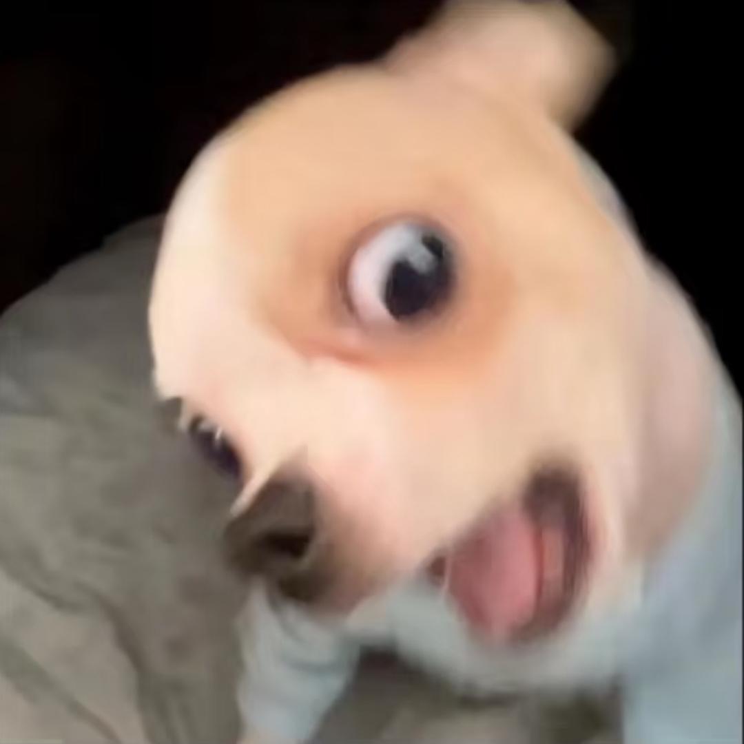 .肥困困.（减肥成功暴富版）