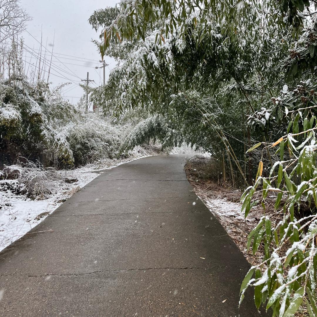 俄罗斯钓鱼｜SK轮