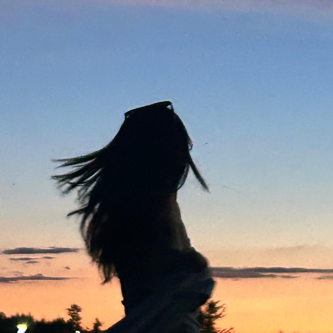 🐑毛卷儿（发财版）