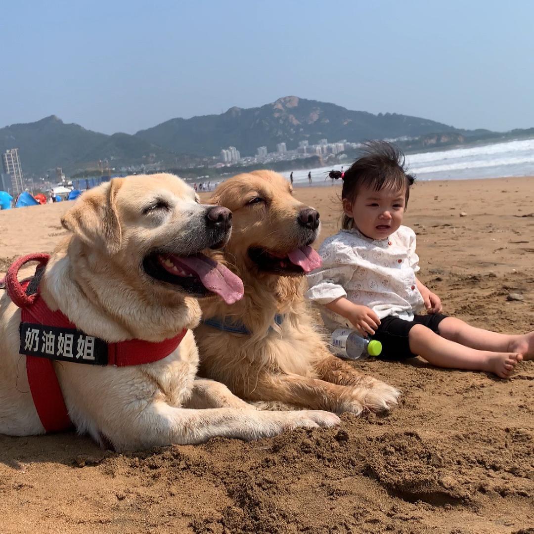 友善善的有米米
