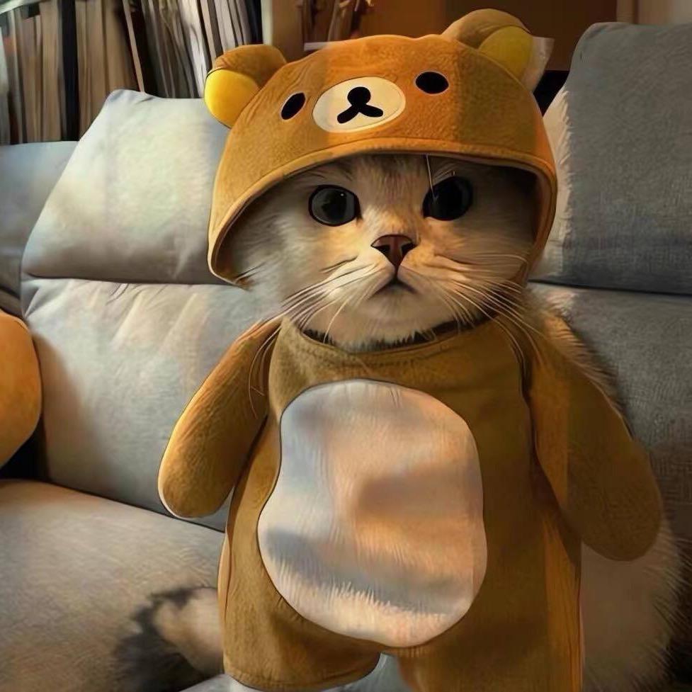 HR小沈😽