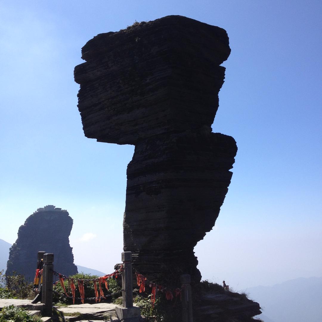 乐选优粮轻食旗舰店的头像