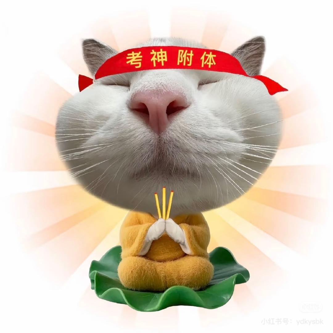 好柿豆花生🥜🐟