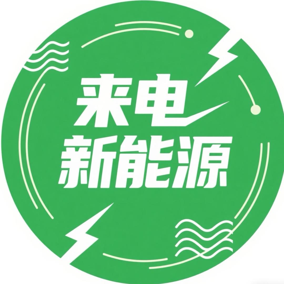 重庆来电新能源（李建平）