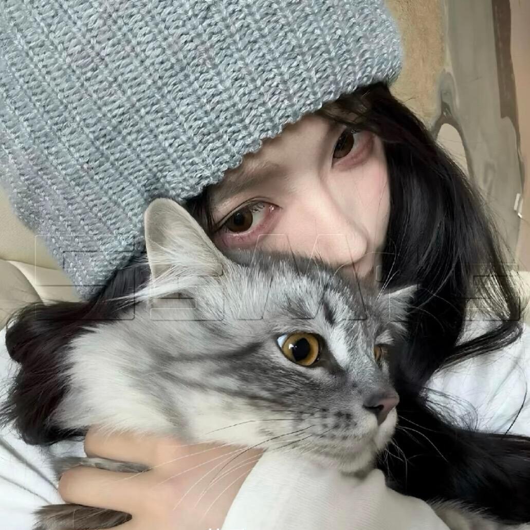 枭枭
