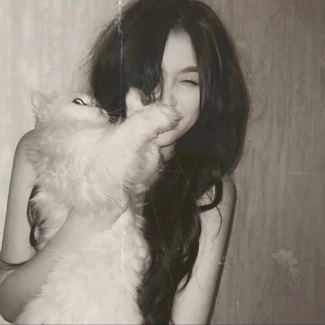 养只小猫.