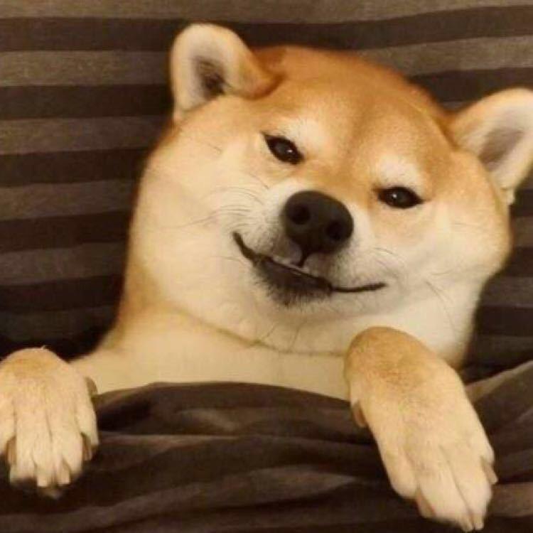 小土人