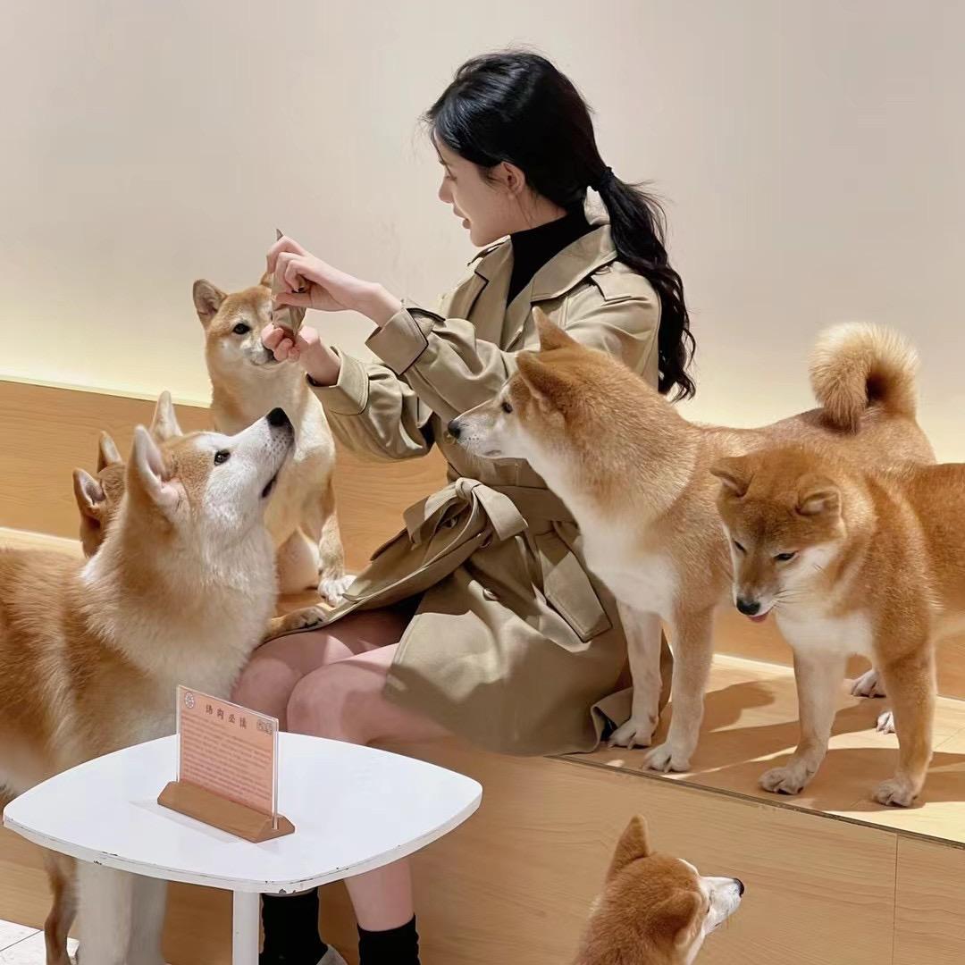 下饭菜子*