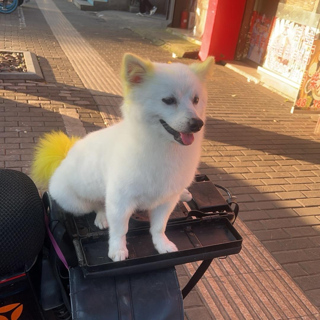 叶家。大哥