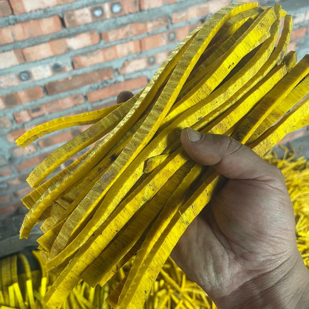 黄柏加工老王