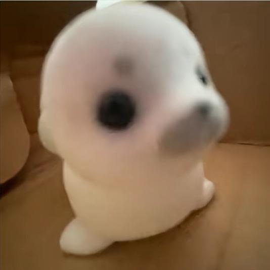 我要谈卷毛除了张凌赫