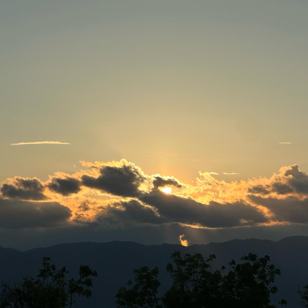 李YL
