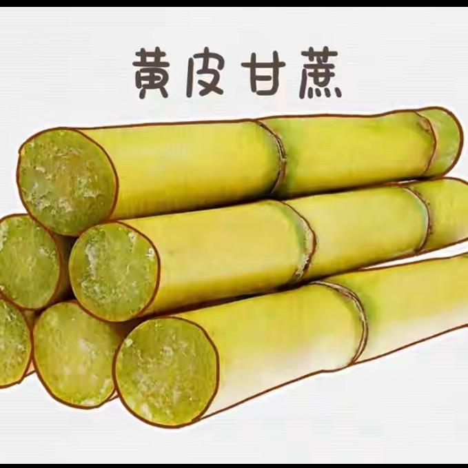 春和农业(哈福)