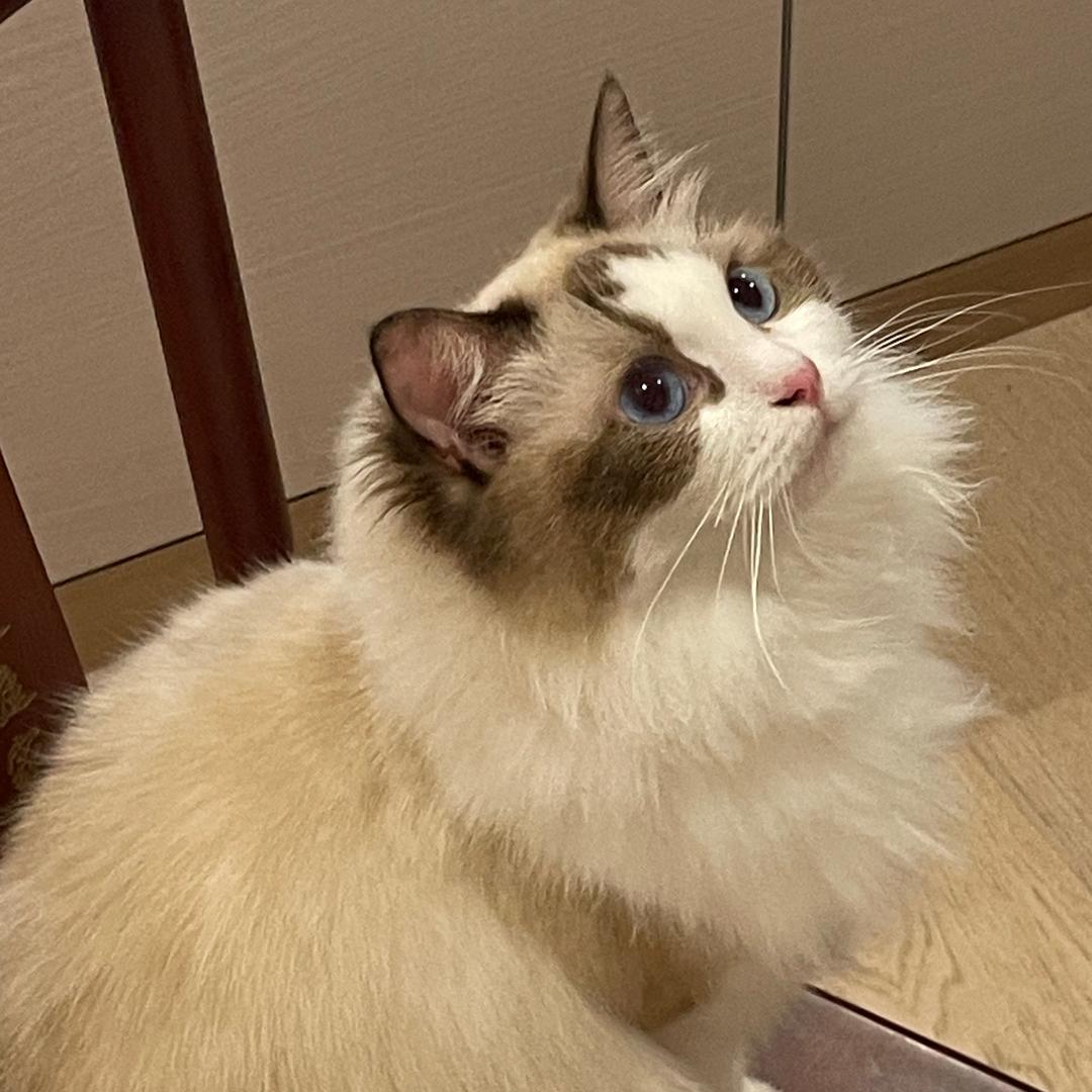口渴的亿亿