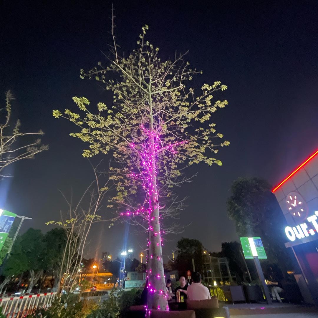 世界因我们而精彩