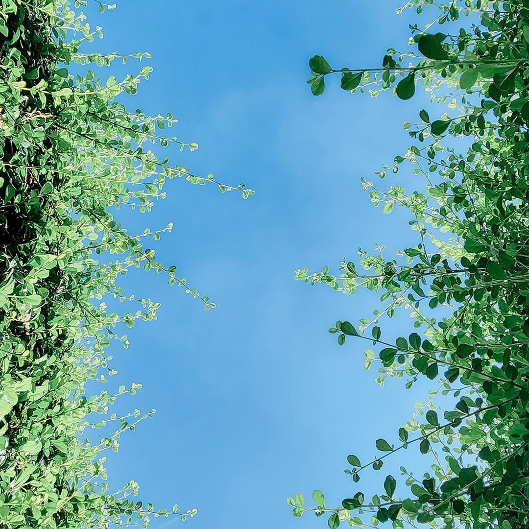 手机快修