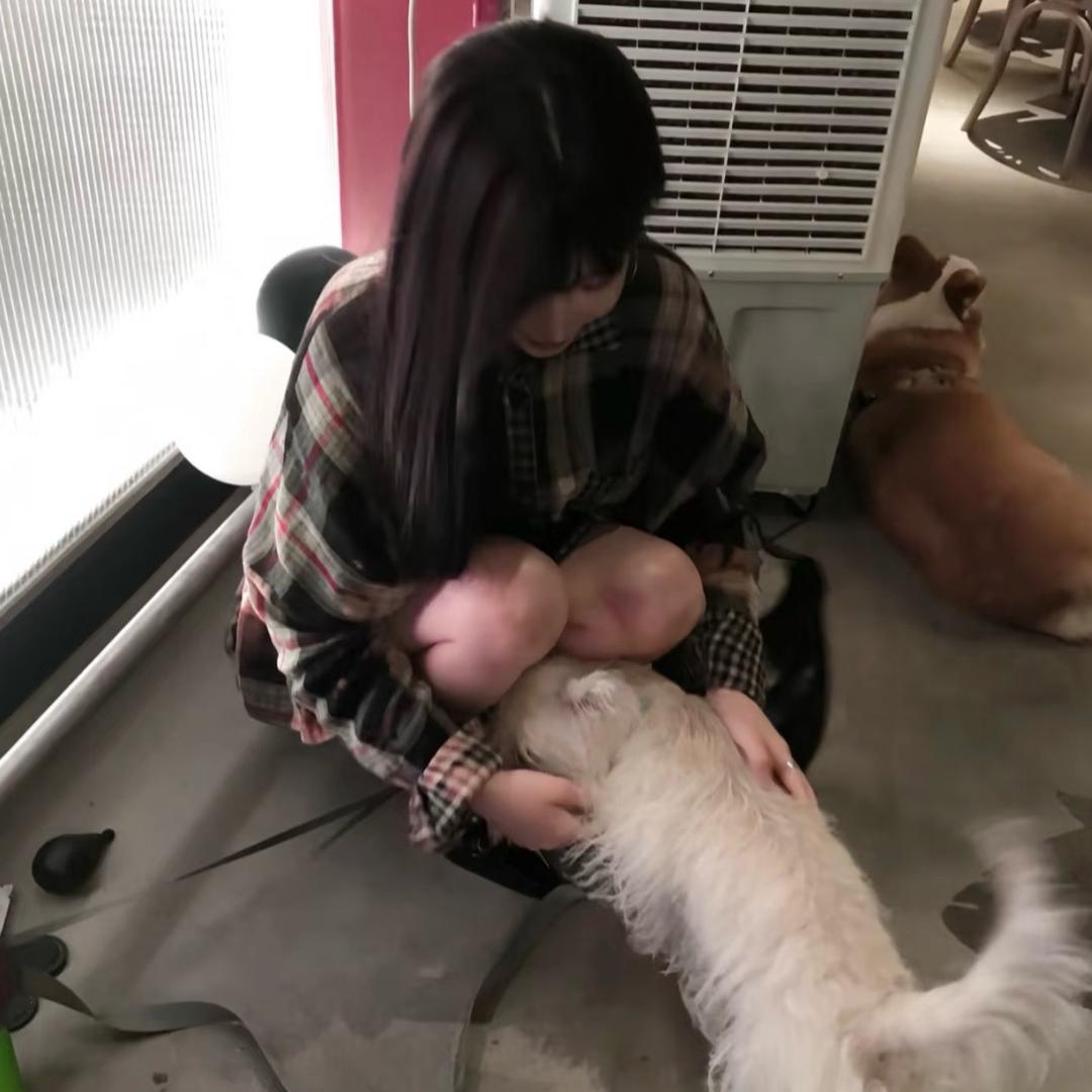 你好dd