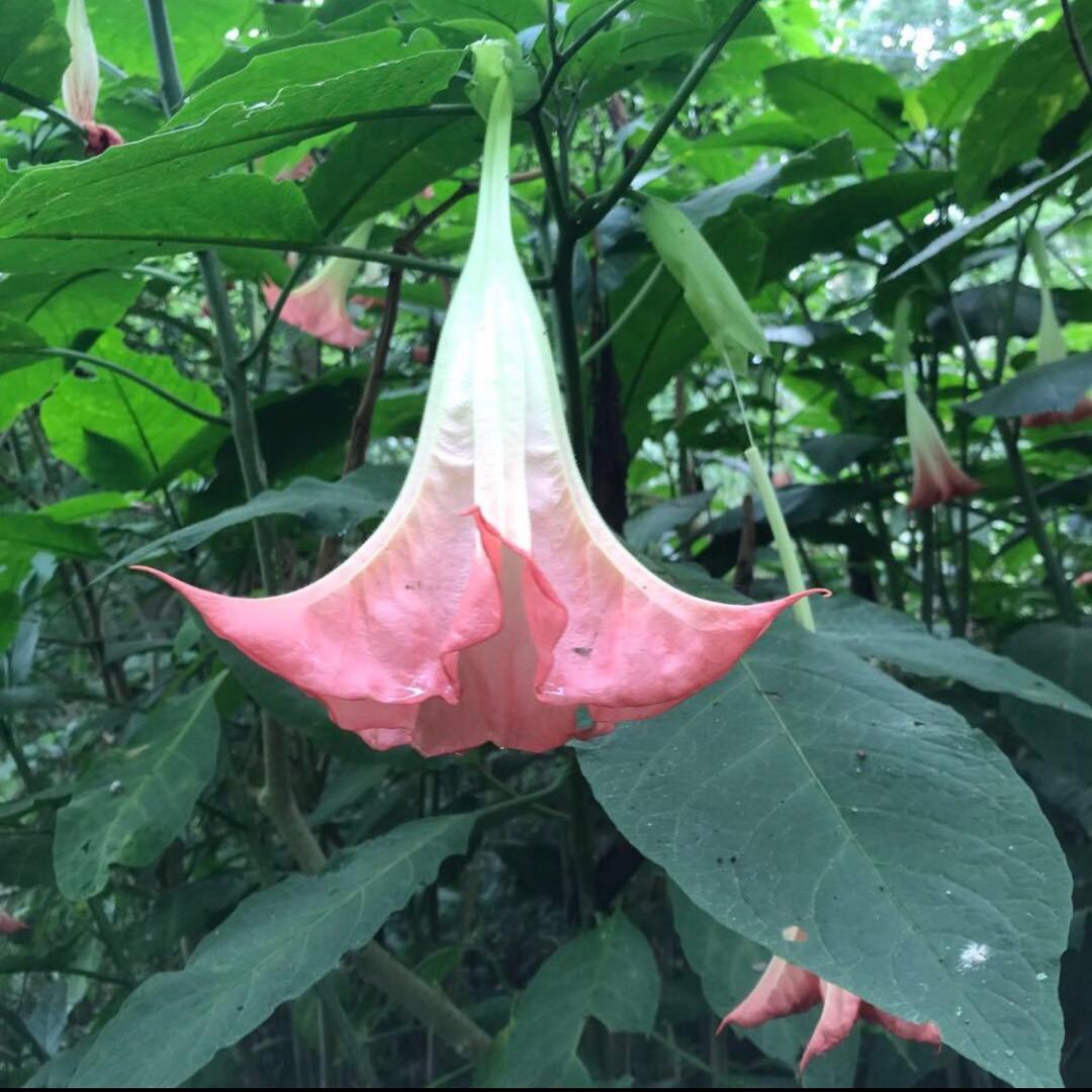 难的糊涂