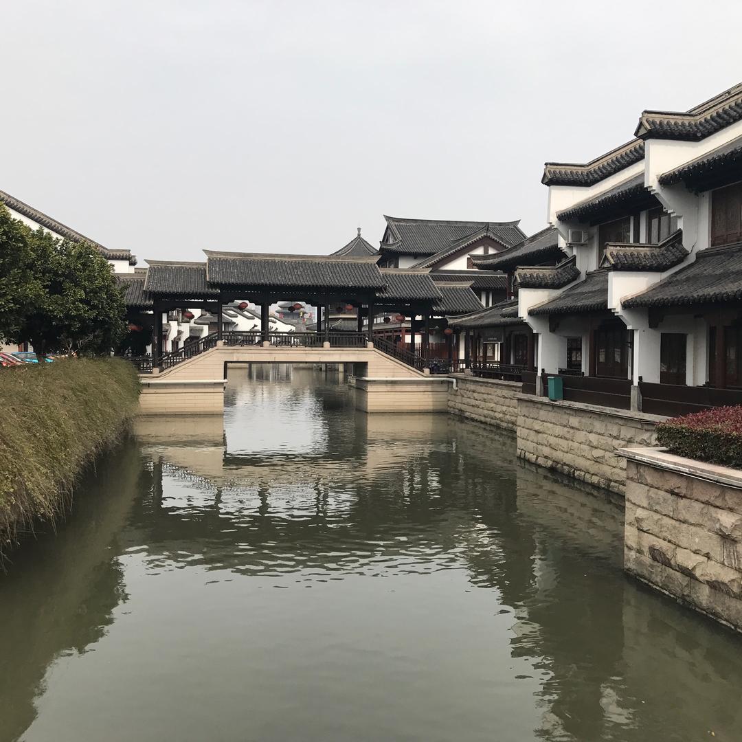 慢慢奶奶头像
