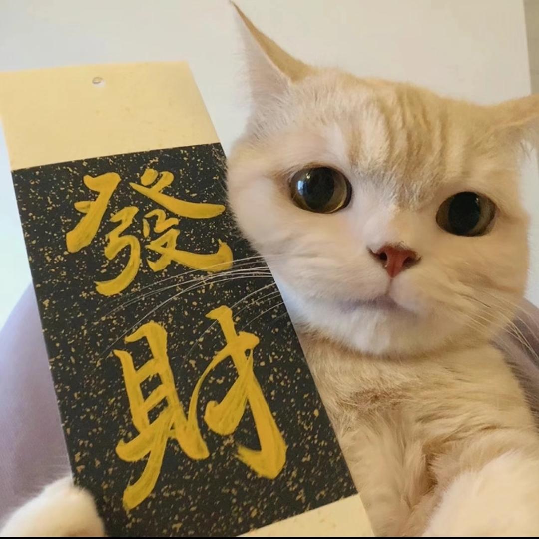 布丁布丁🍮
