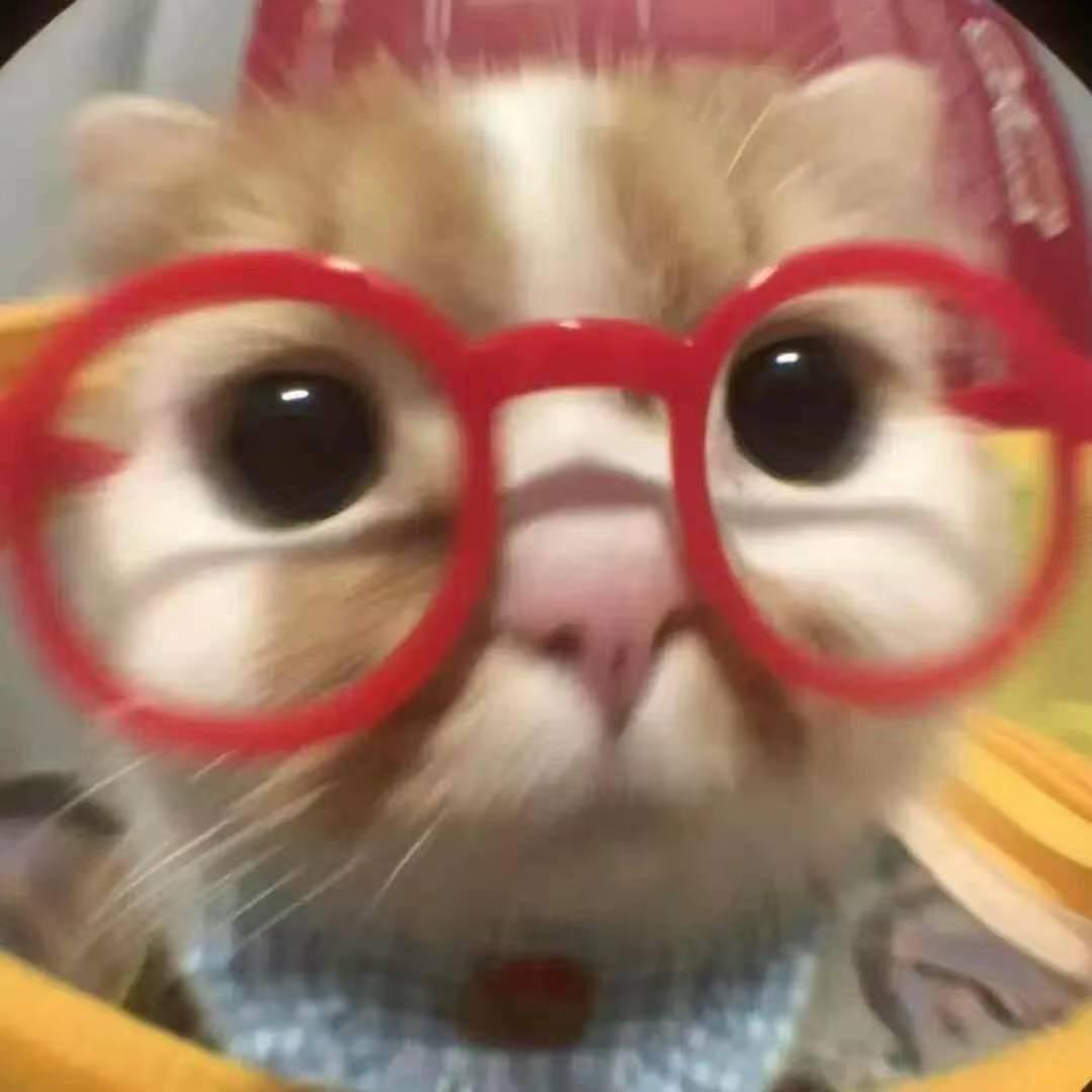 邯郸虞书欣