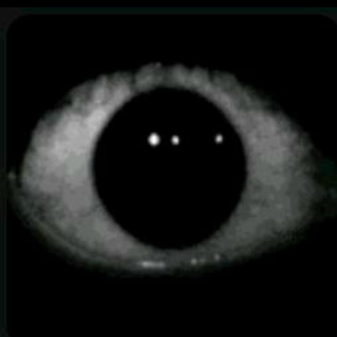 👁👁我一直在注视着你👁👁