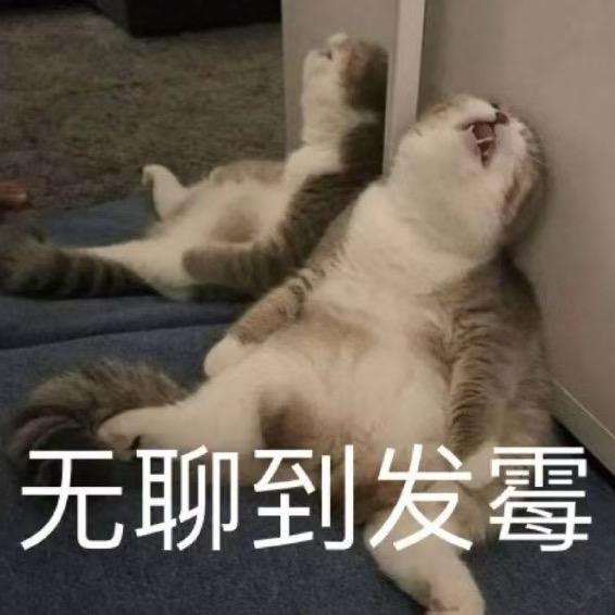 风沙迷了眼