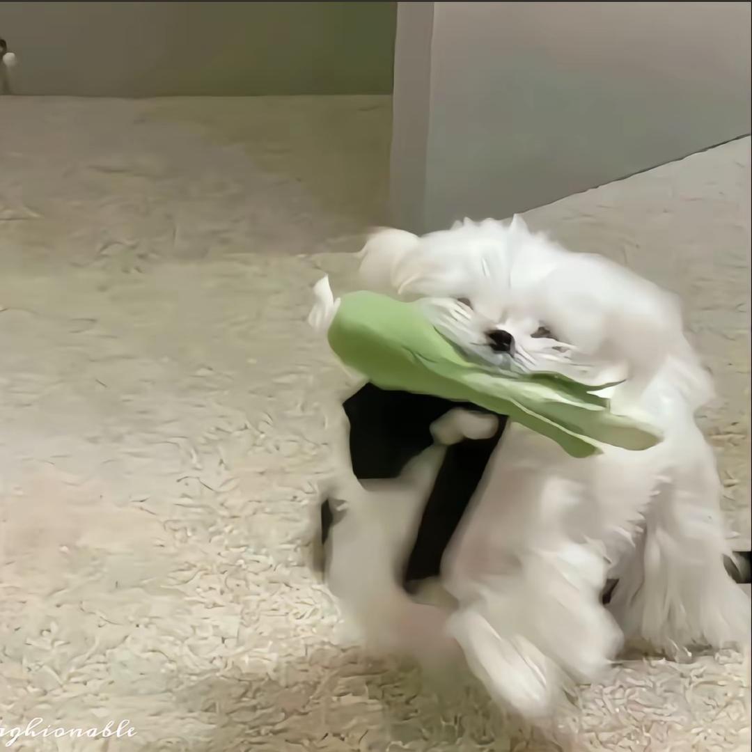 𝓗𝓪𝓷