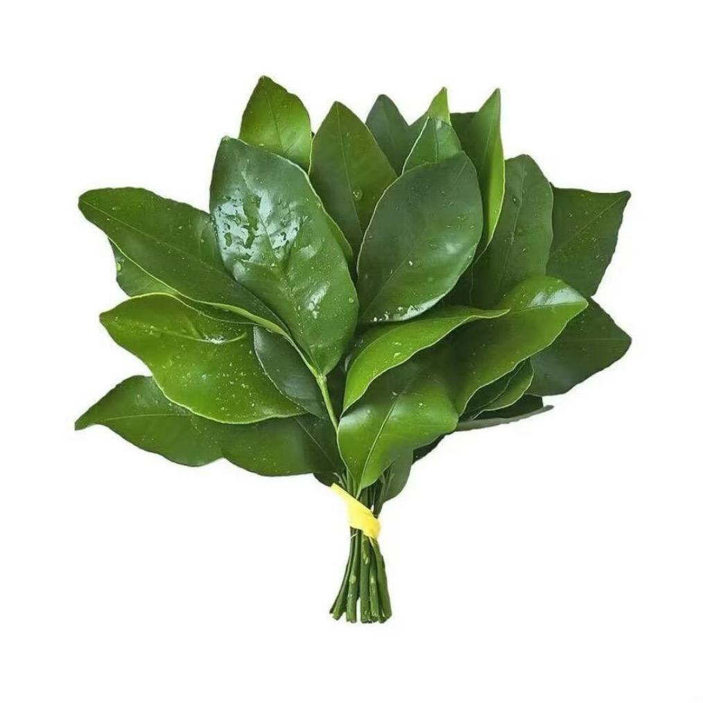 年糕