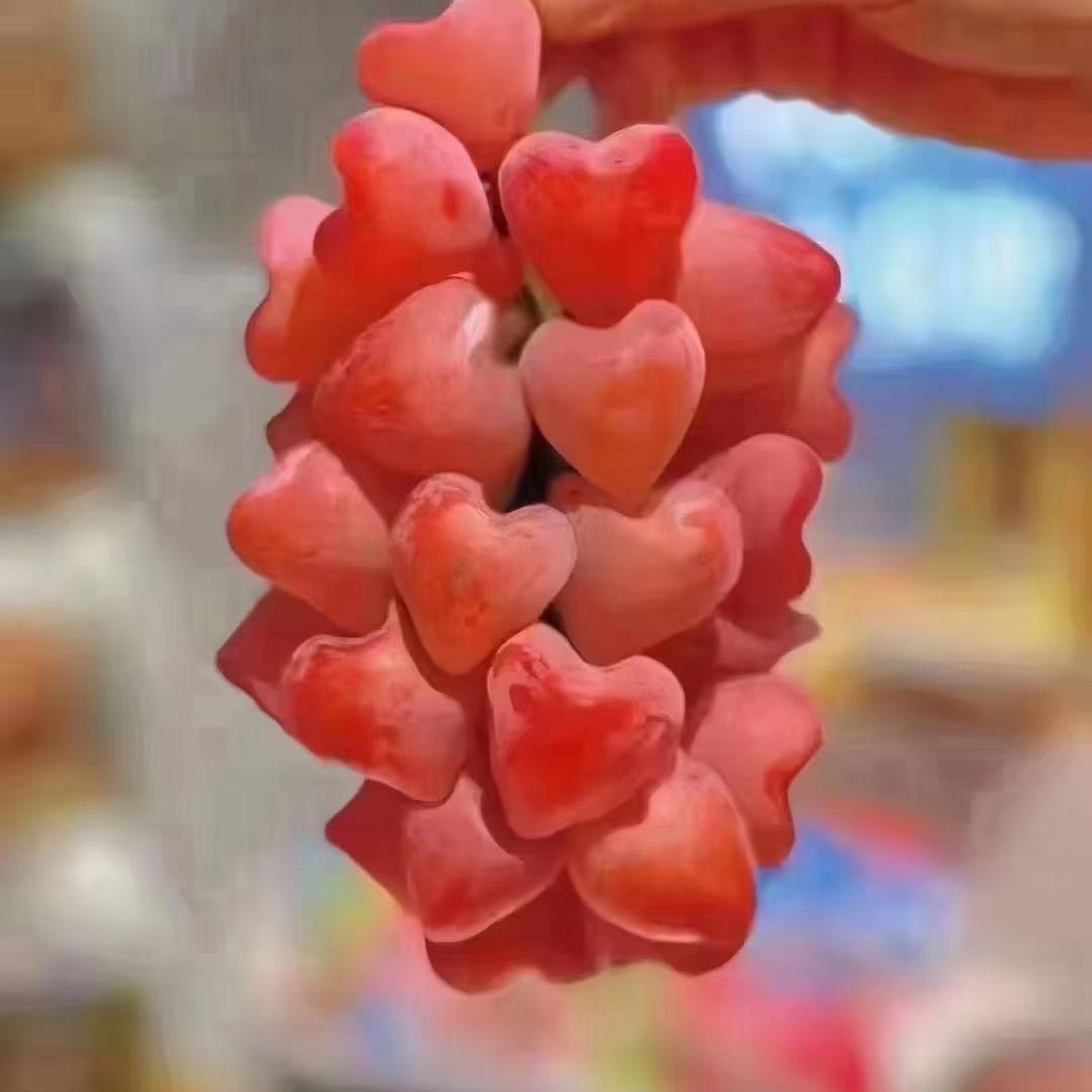 ღ🍒袁家᭄🎀菇凉꧔ꦿ⁵²º᭄