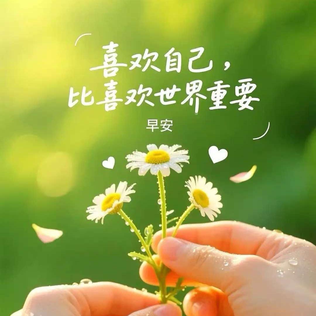 我的下半生