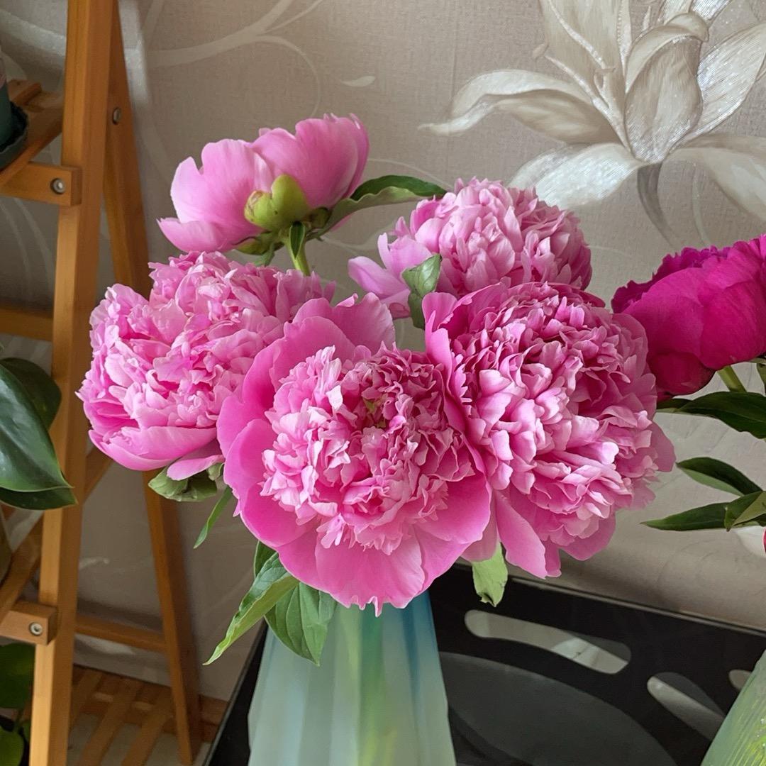 花语花甜鲜花批发