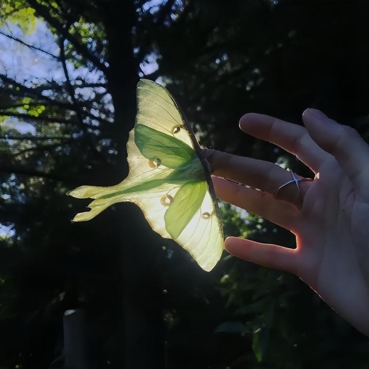 「三时两刻」