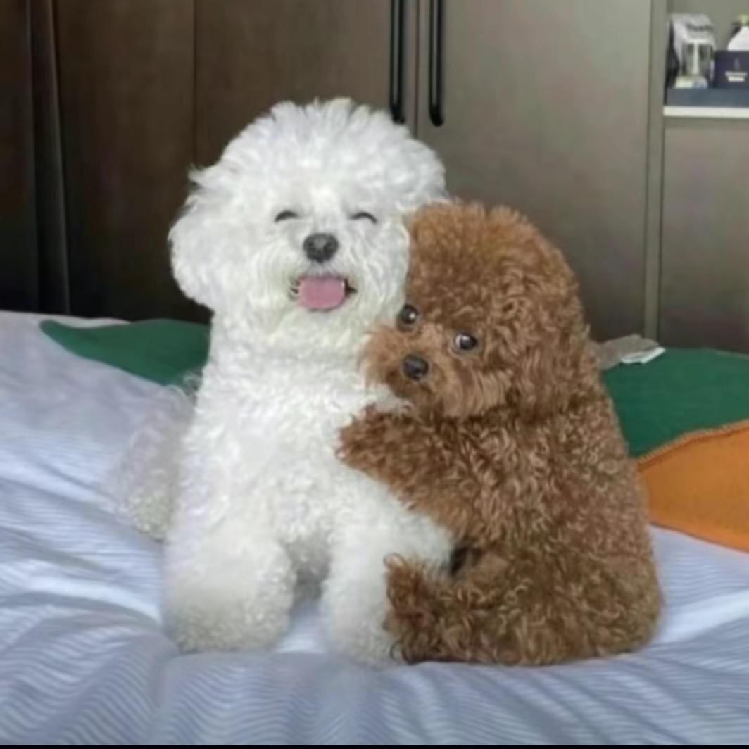 心情好
