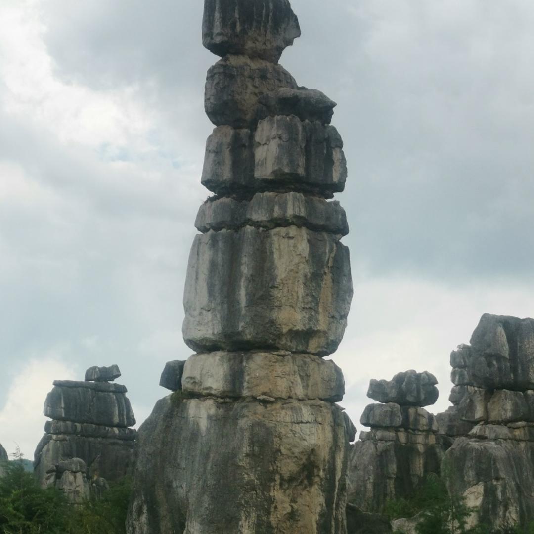 🍀泉🕊️🇨🇳