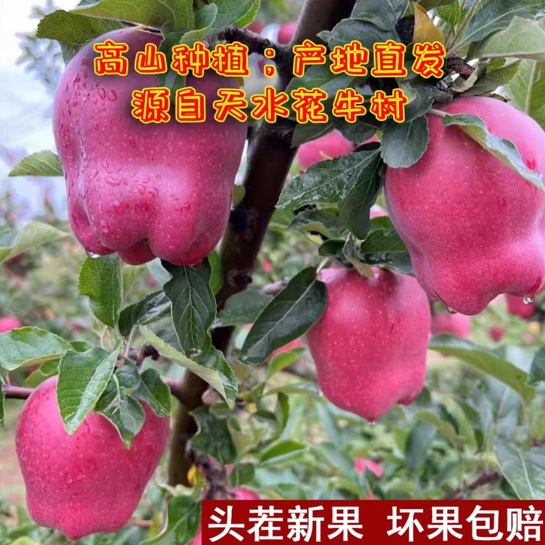 淘货小精灵