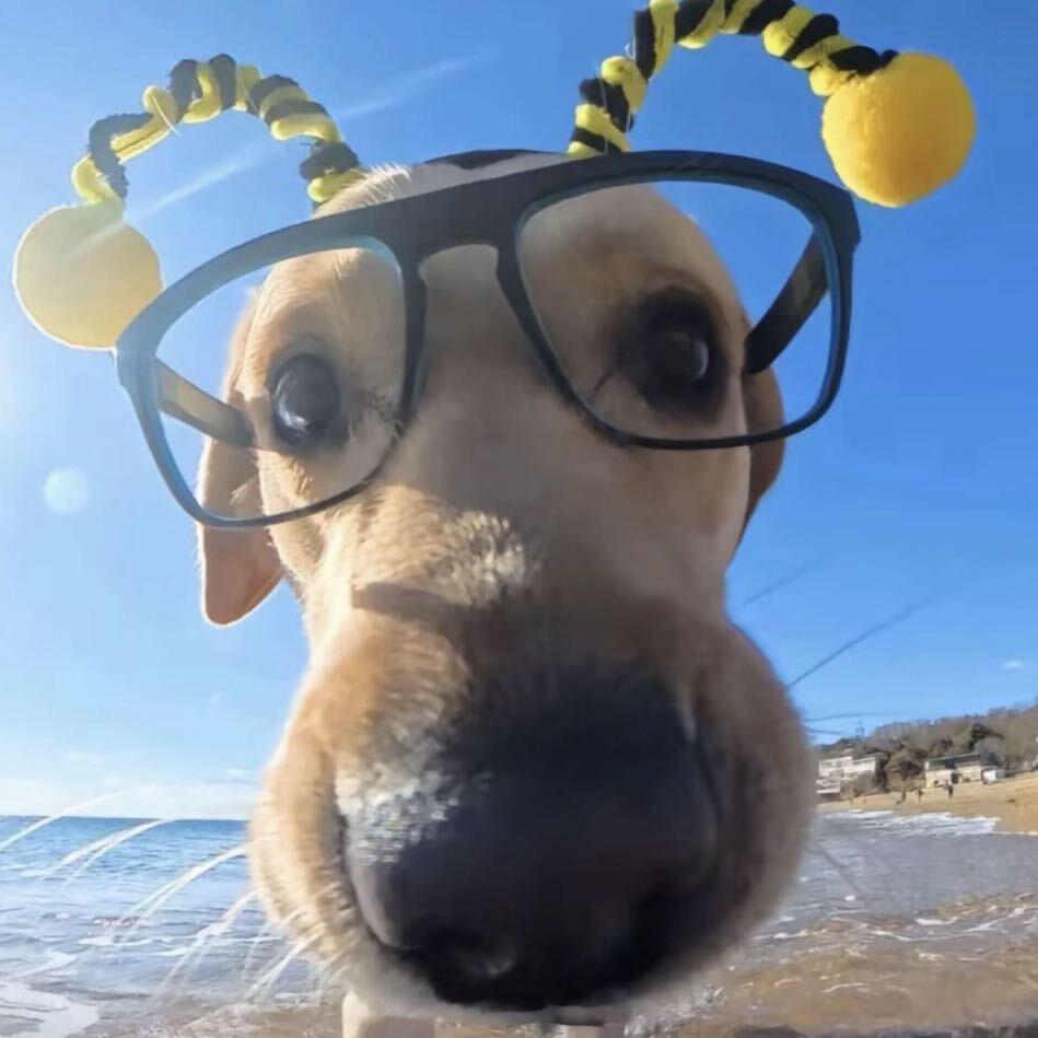 ᥫᩣ 㶮㶮㶮🔥